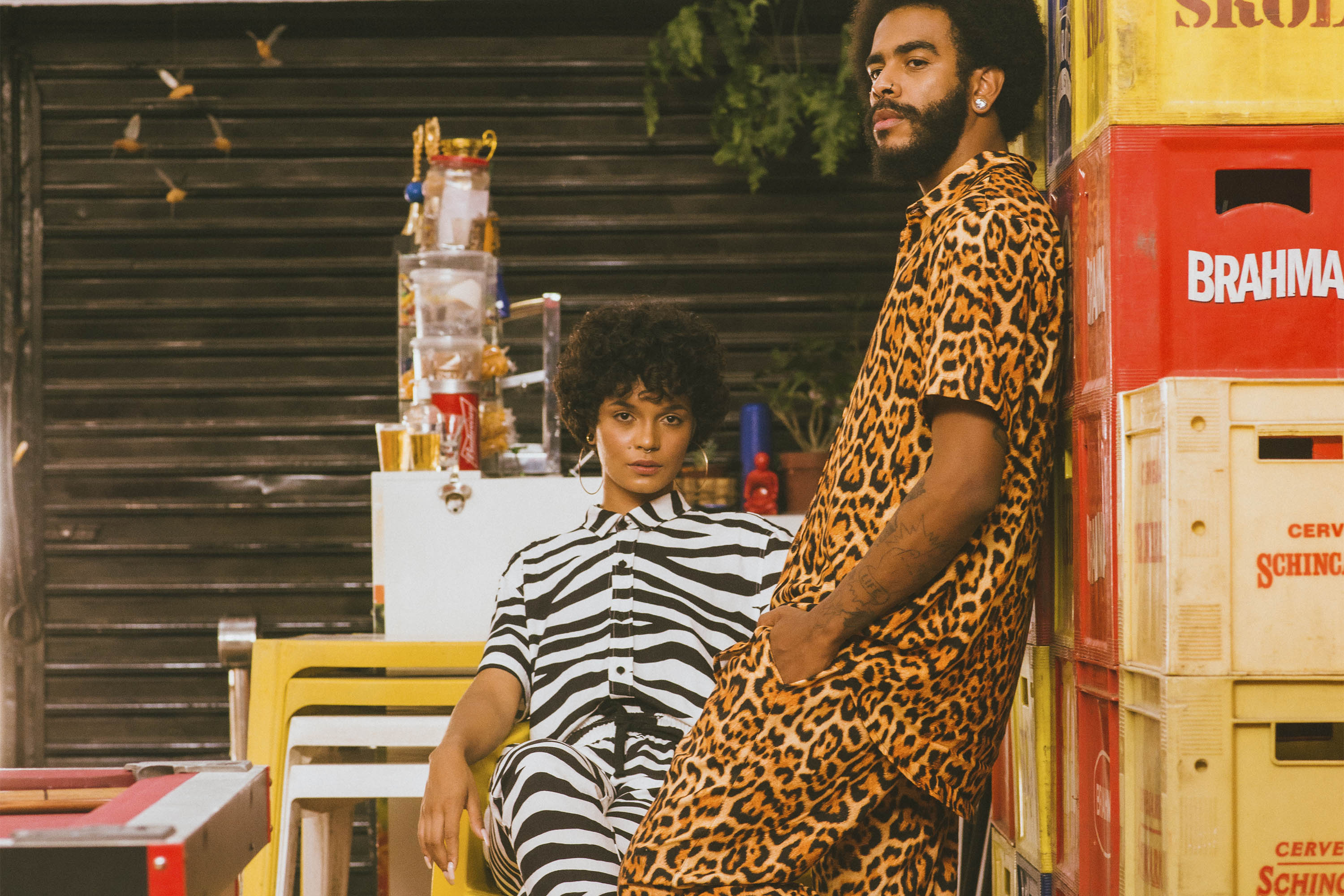 deu zebra