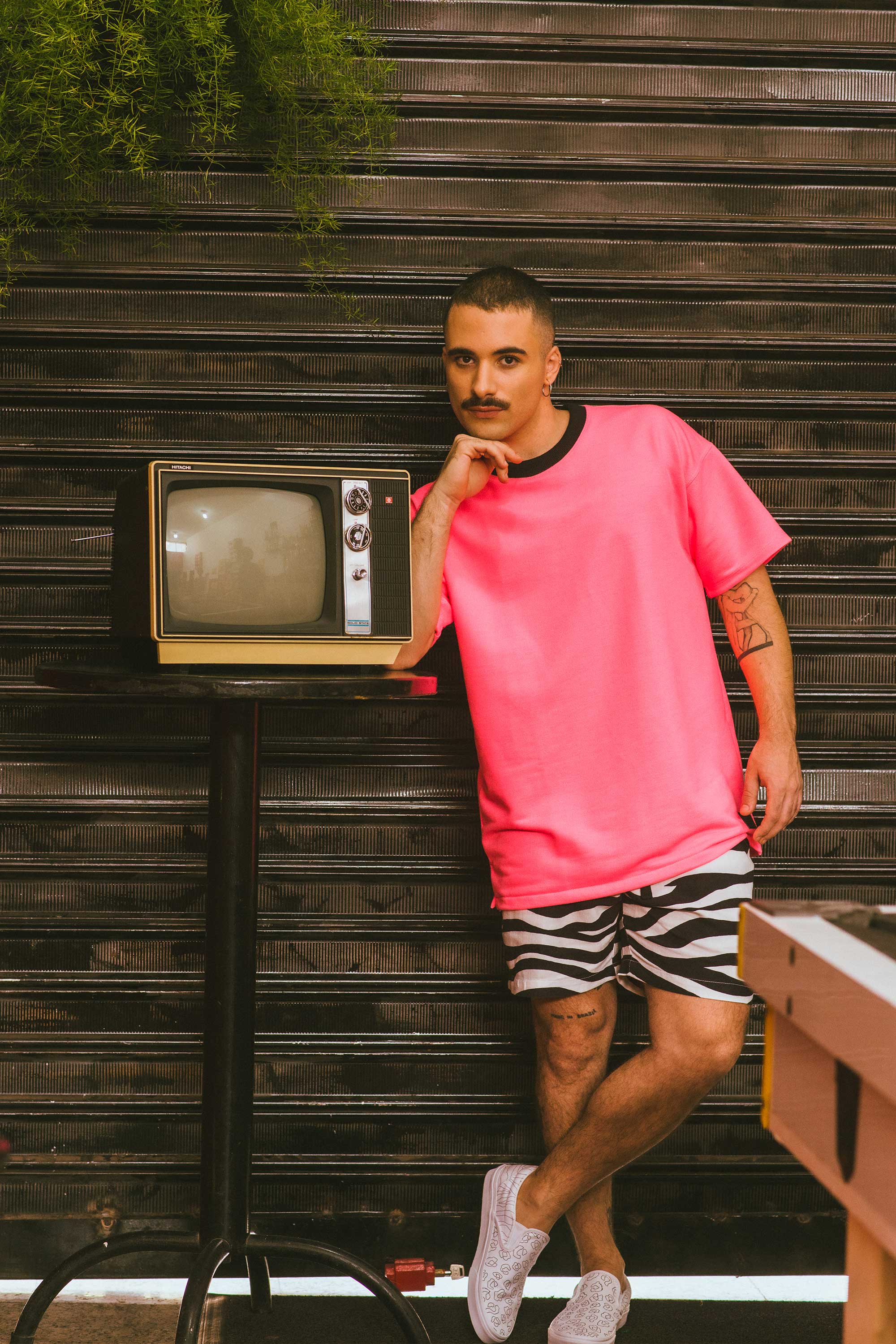 deu zebra