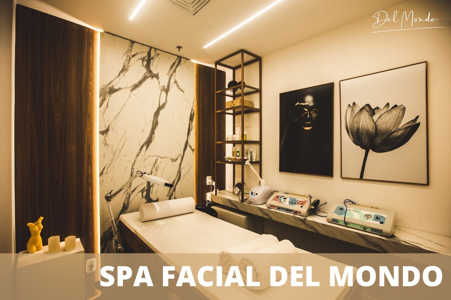 SPA FACIAL DEL MONDO