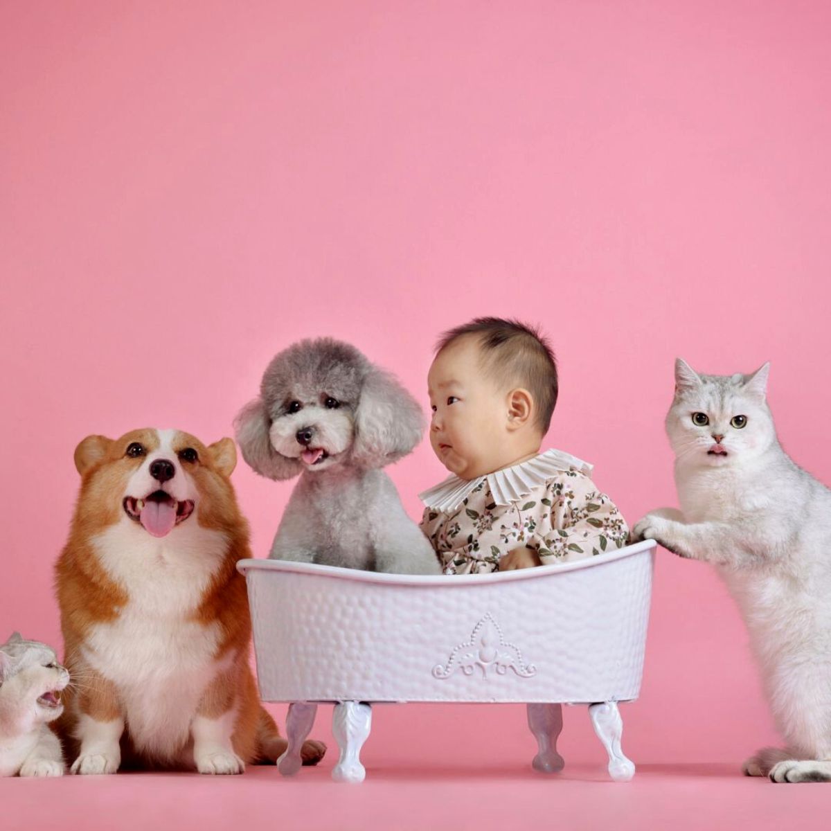 Qual é o piso ideal para crianças e pets?