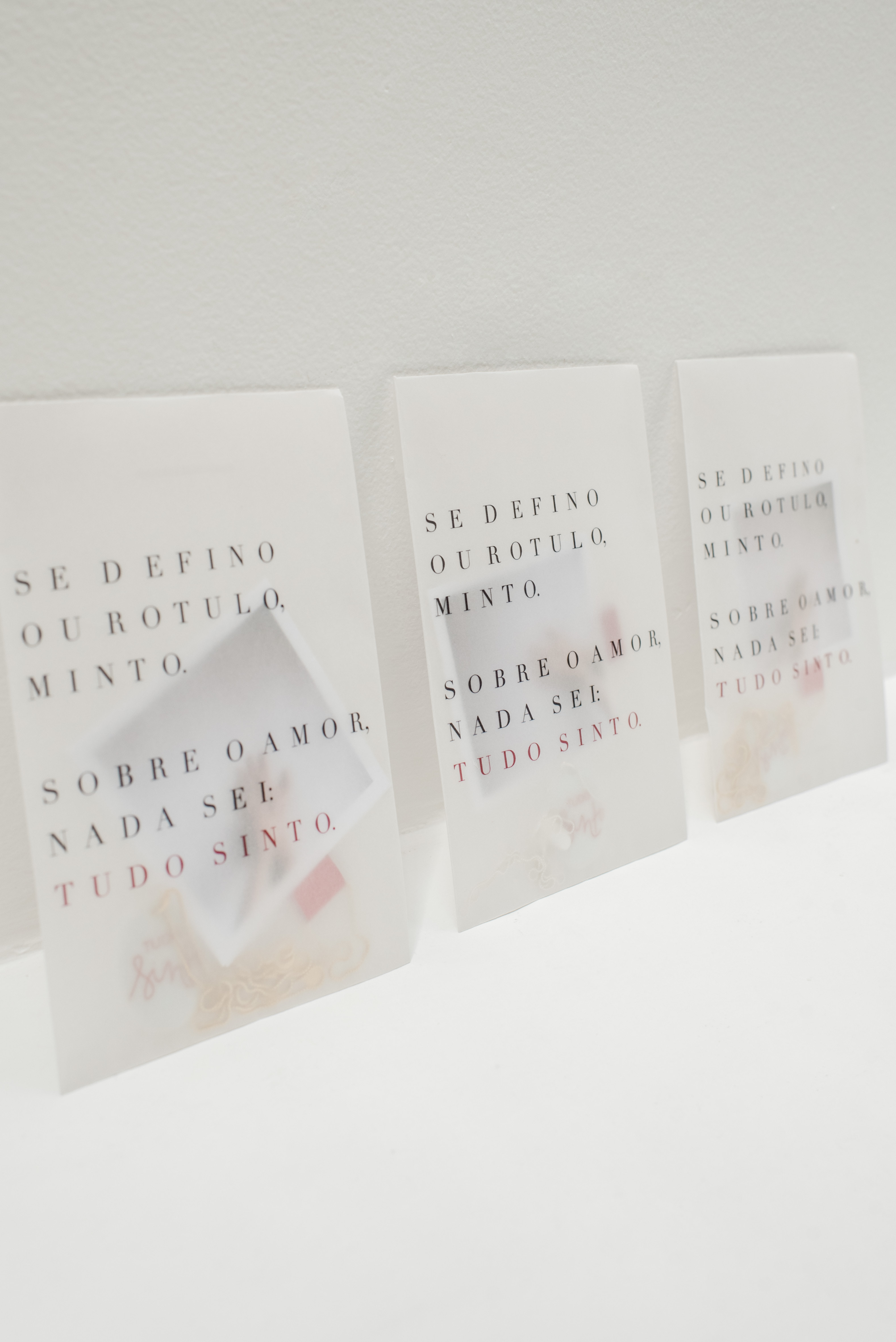 Imagem inferior do Poema tudo sinto