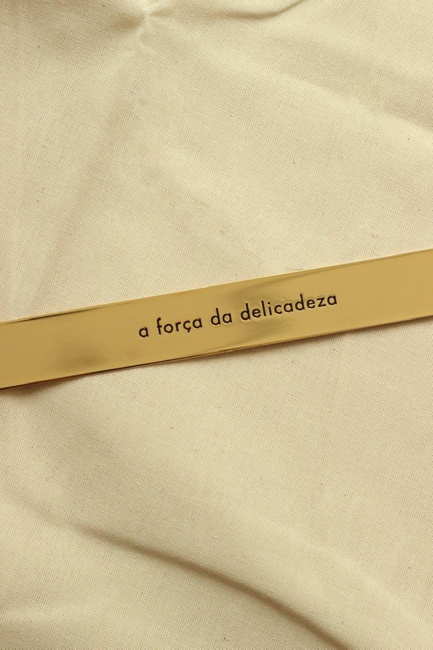 Imagem do Obra A Força da Delicadeza