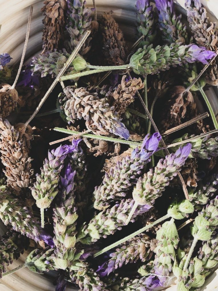 receita xarope de lavanda