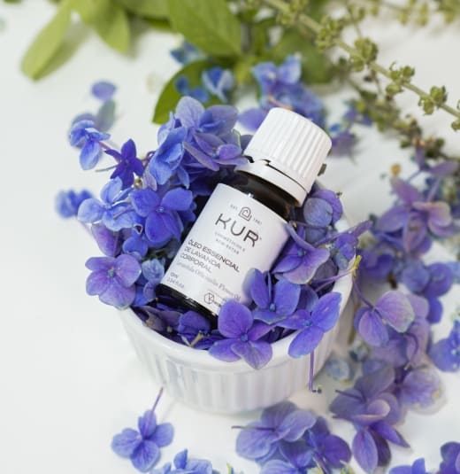 Imagem do post Beleza Limpa: descubra os cosméticos clean