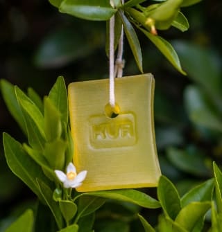 Veja por que escolher um sabonete vegetal