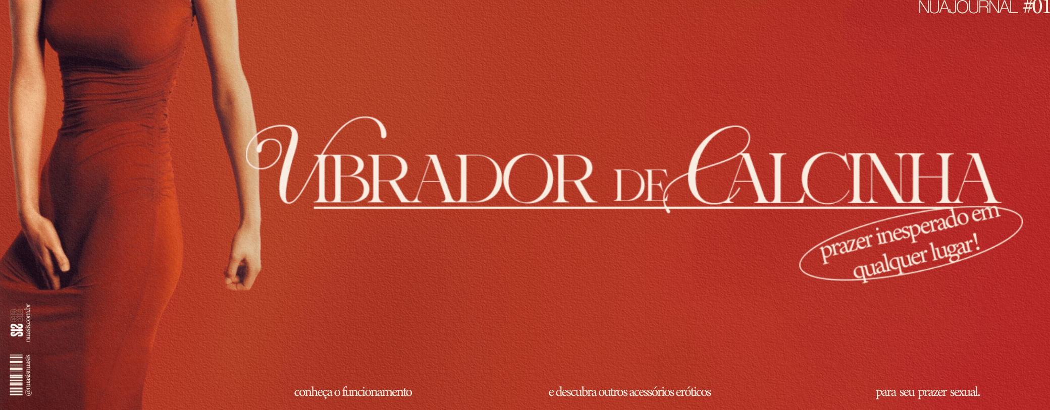 Vibrador de calcinha: prazer inesperado em qualquer lugar! cover