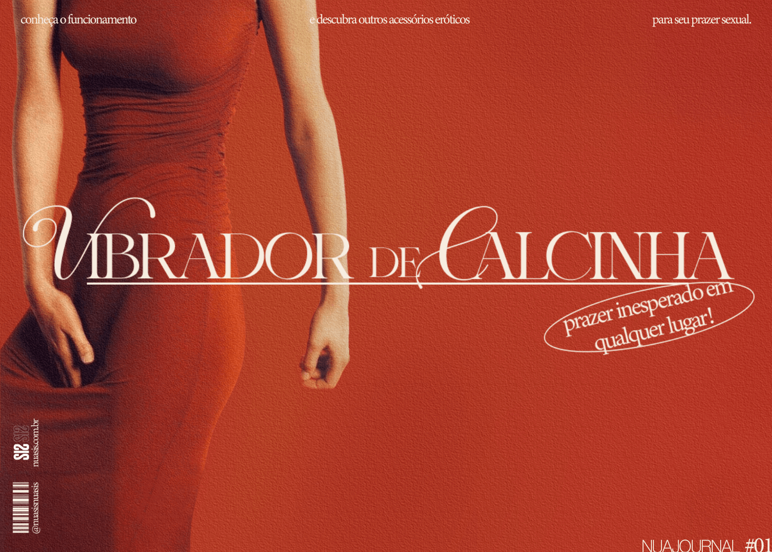 Vibrador de calcinha: prazer inesperado em qualquer lugar! 