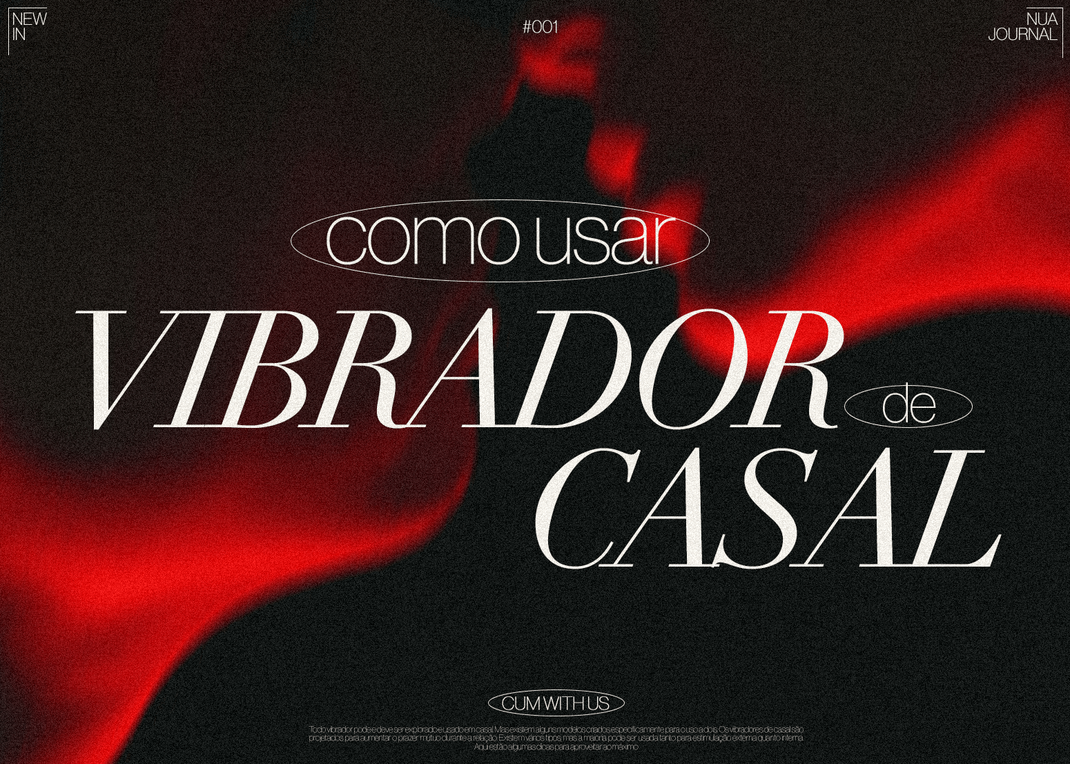 Como Usar Um Vibrador De Casal?