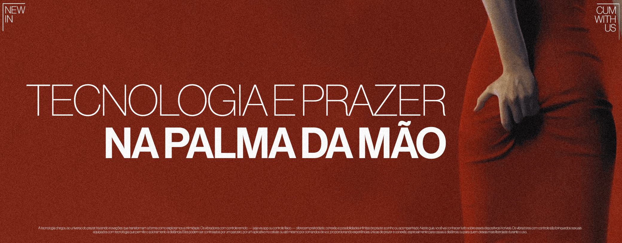 Os Melhores Vibradores com Controle:cover