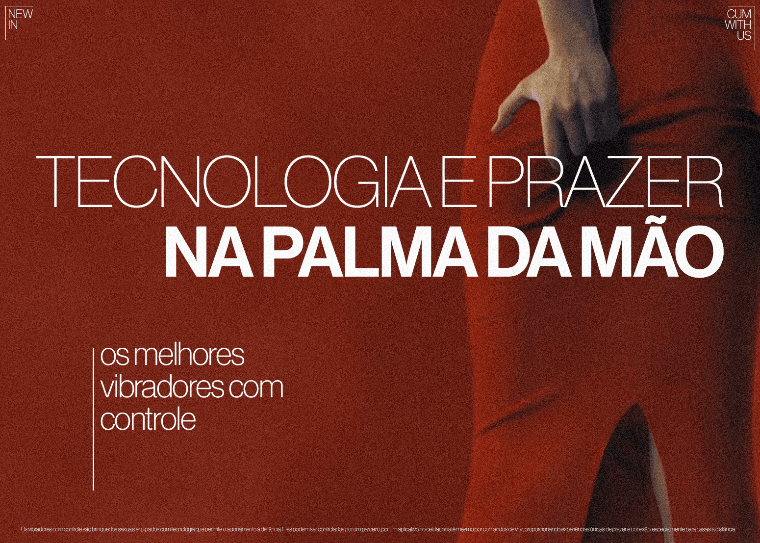 Os Melhores Vibradores com Controle: