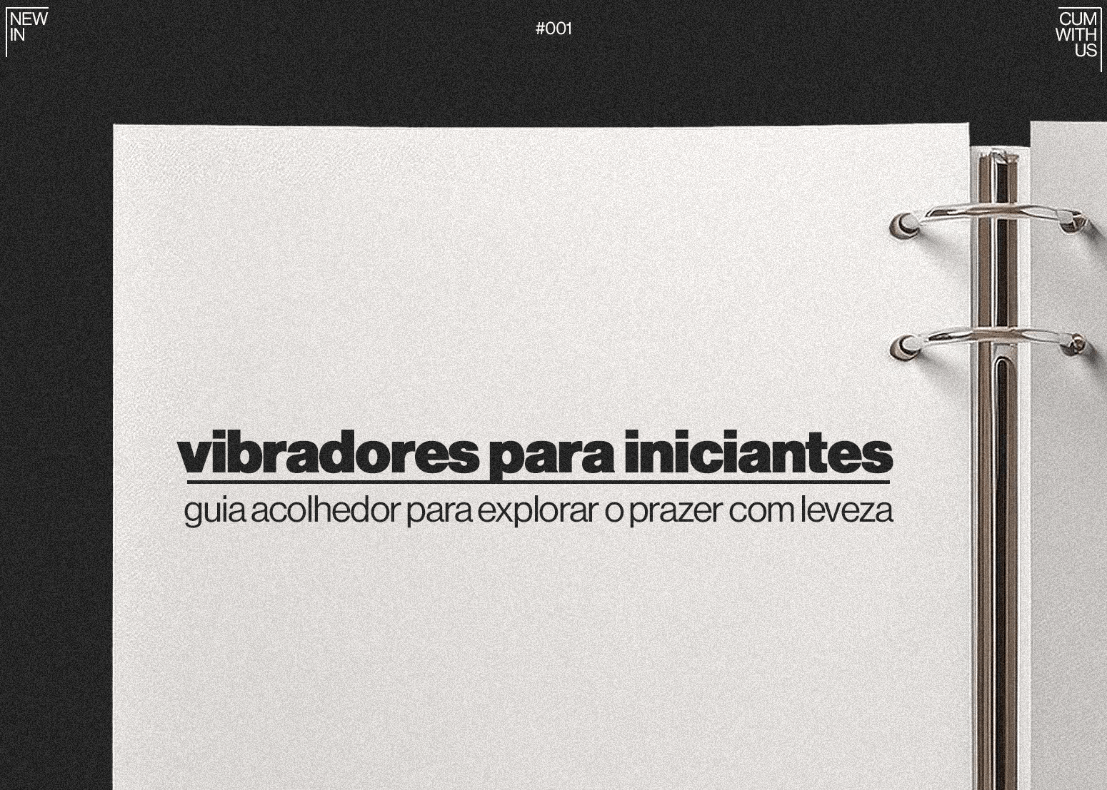 Vibradores para Iniciantes: 