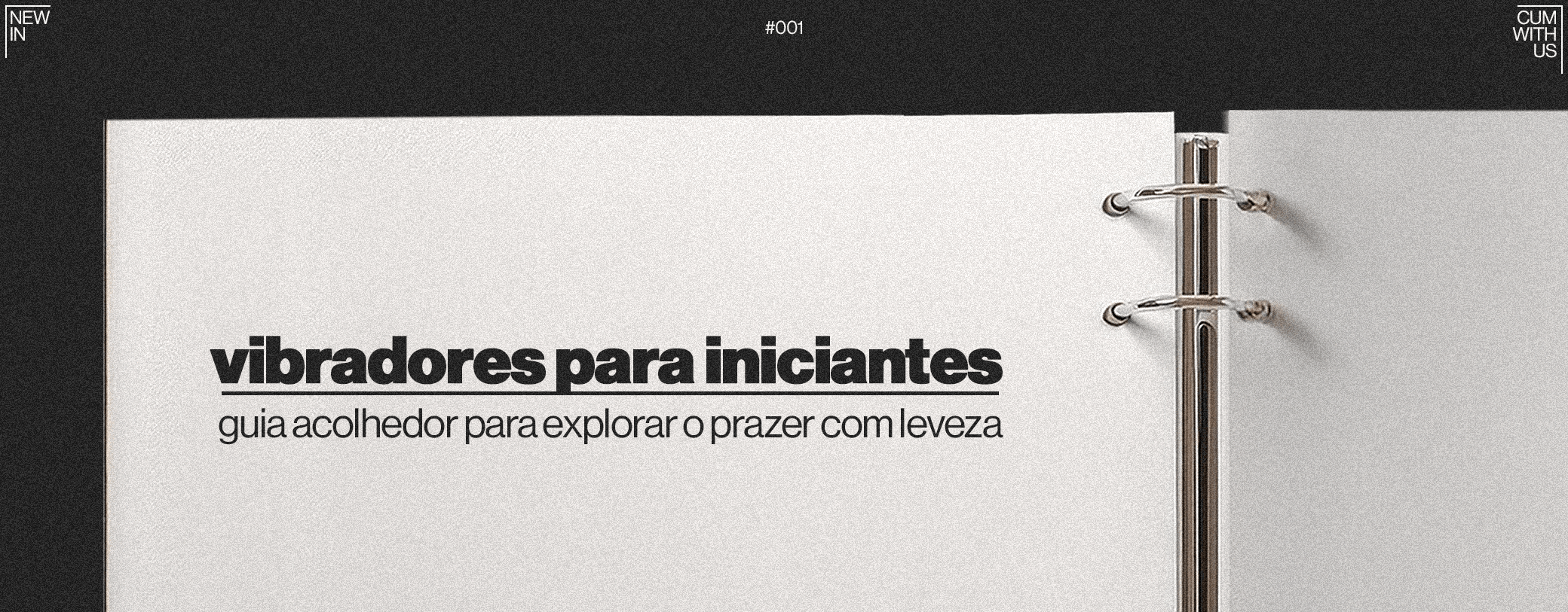 Vibradores para Iniciantes: cover