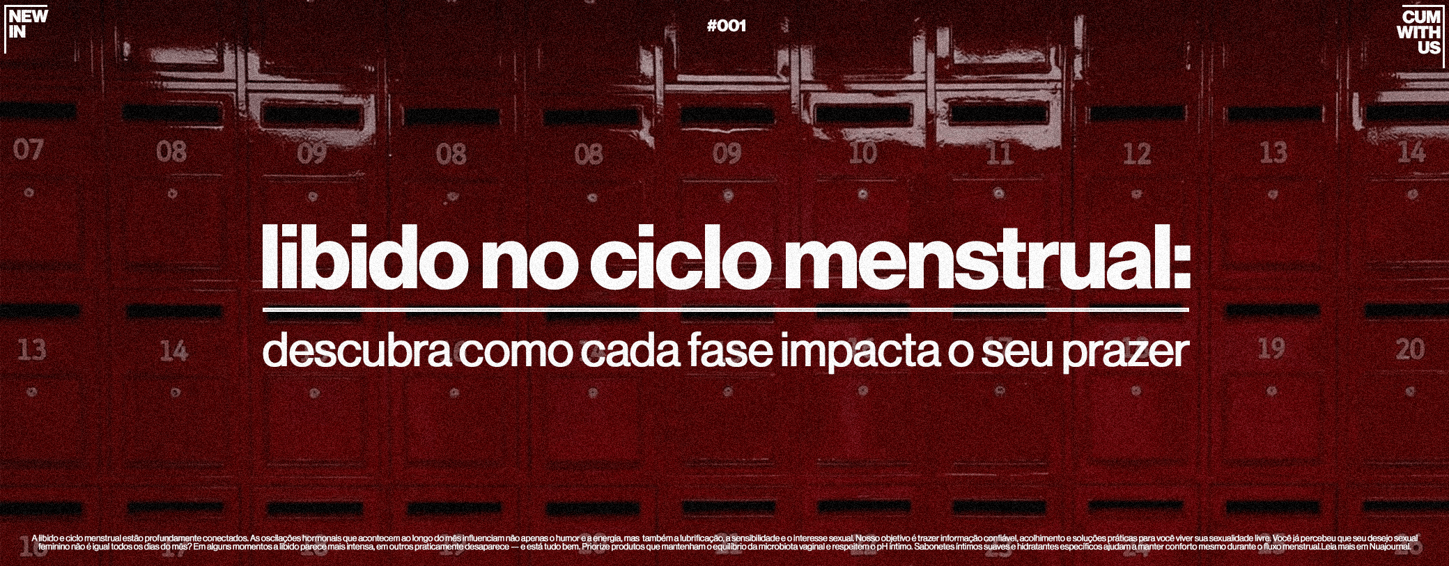 Libido e Ciclo Menstrual: Descubra Como Cada Fase Impacta Seu Prazercover