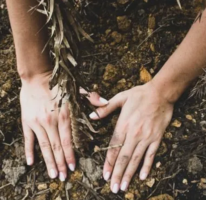 Imagem do post ONDA ECO PROMOVE COMPENSAÇÃO DE EMISSÃO DE CARBONO