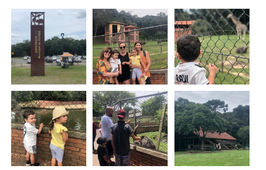 Uma visita no #zoológico de Curitiba