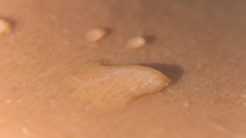 Foto do post DESVENDE A FISIOLOGIA DA PELE E GARANTA UMA TATTOO PERFEITA