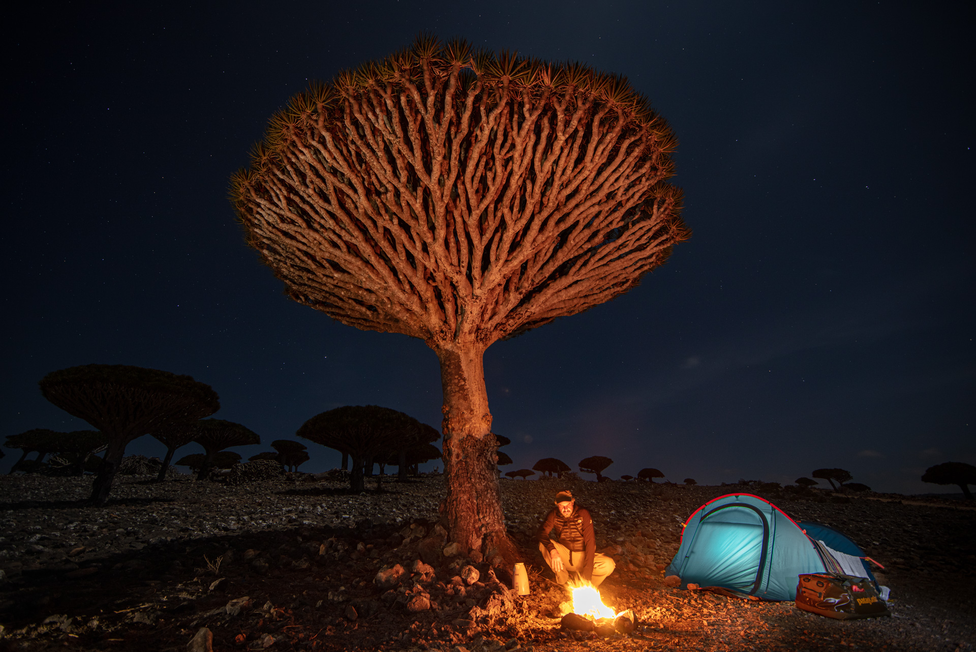 Imagem Cristiano Xavier