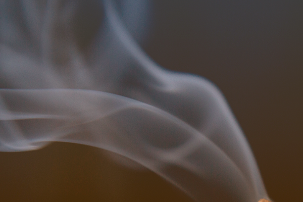 Imagem do post a história dos aromas: da antiguidade aos dias atuais