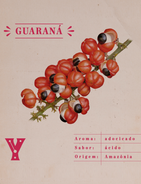 Guaraná: a cara e o coração do Brasil. 