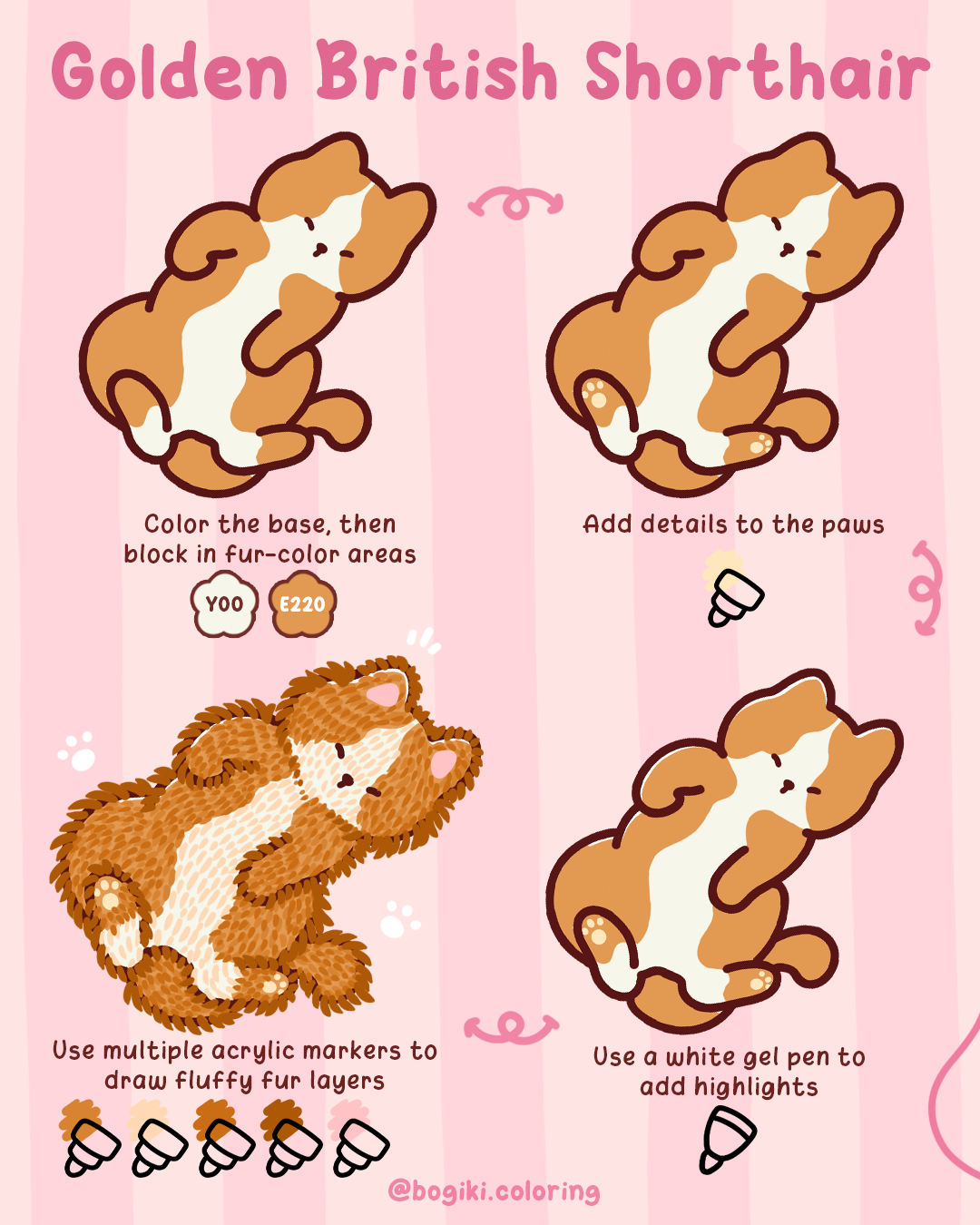 british shorthair cat drawing