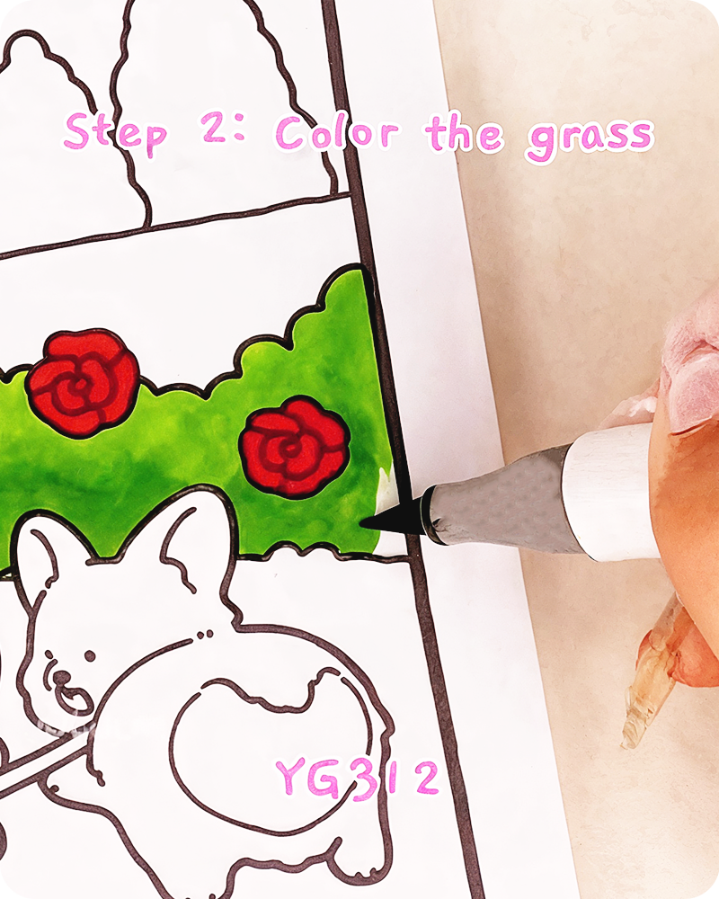 coloring the rose bush leaves with soft green marker