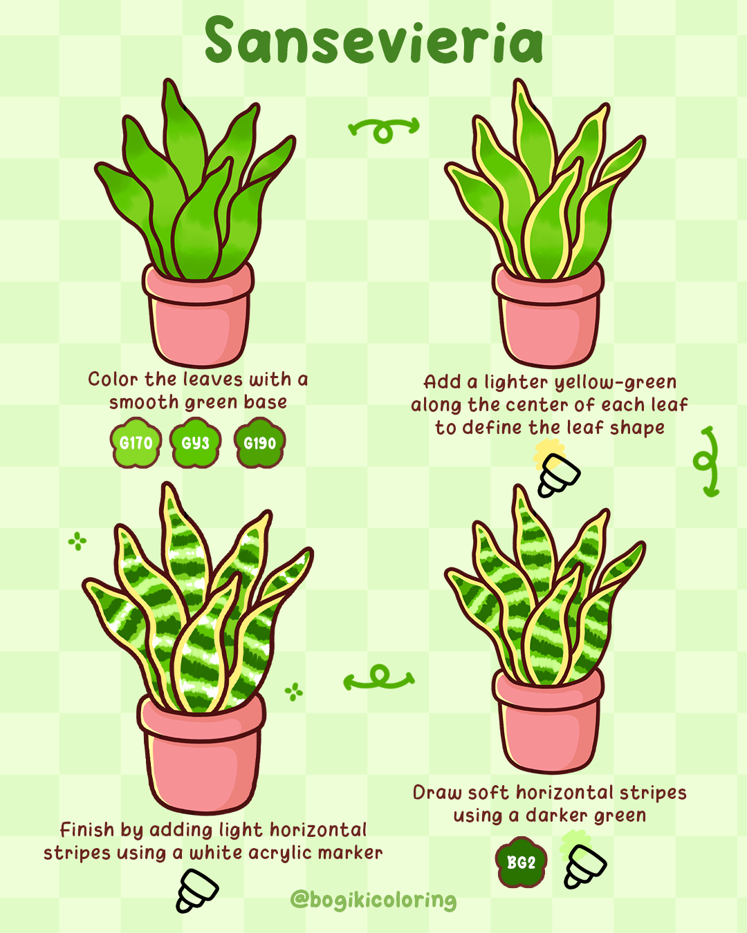 sansevieria drawing ideas