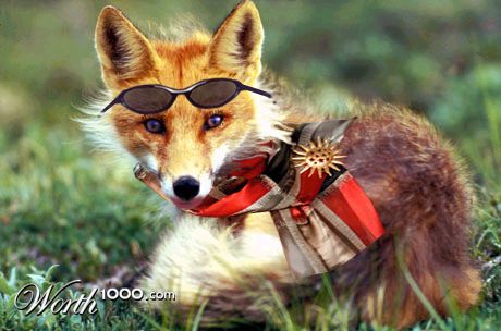 Foxy Lady