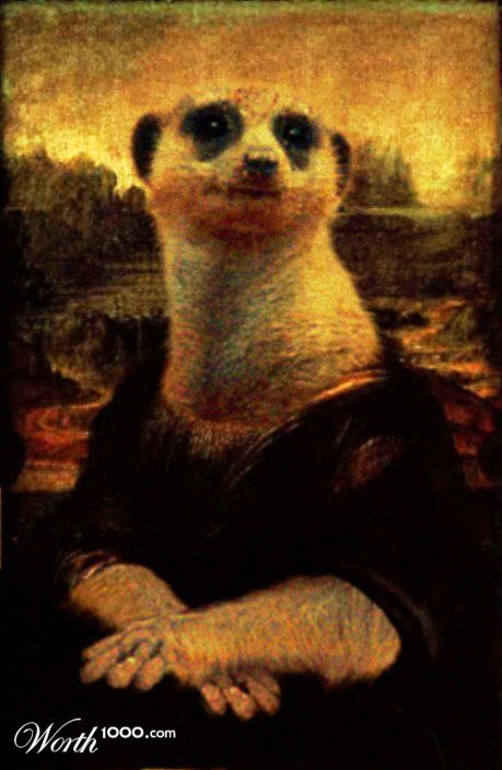 Mona Meerkat