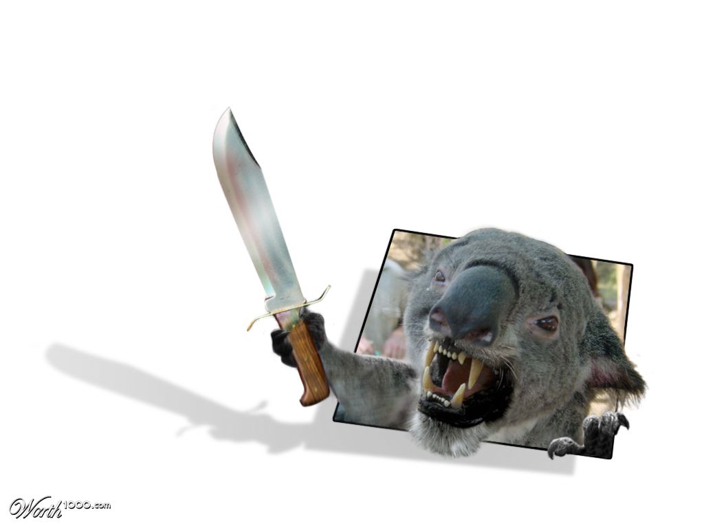 Evil Koala