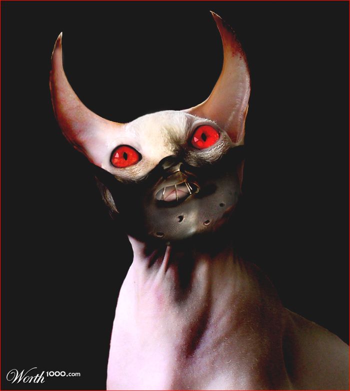 CATnnibal