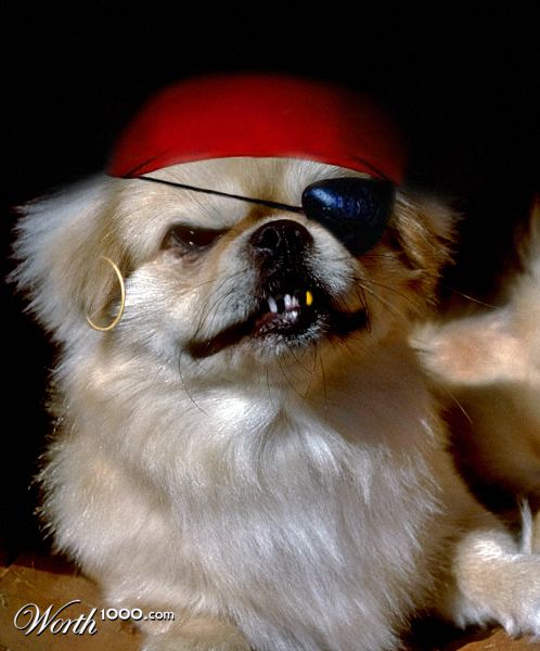 Pirate