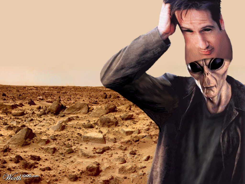 David Duchovny Mask Alien