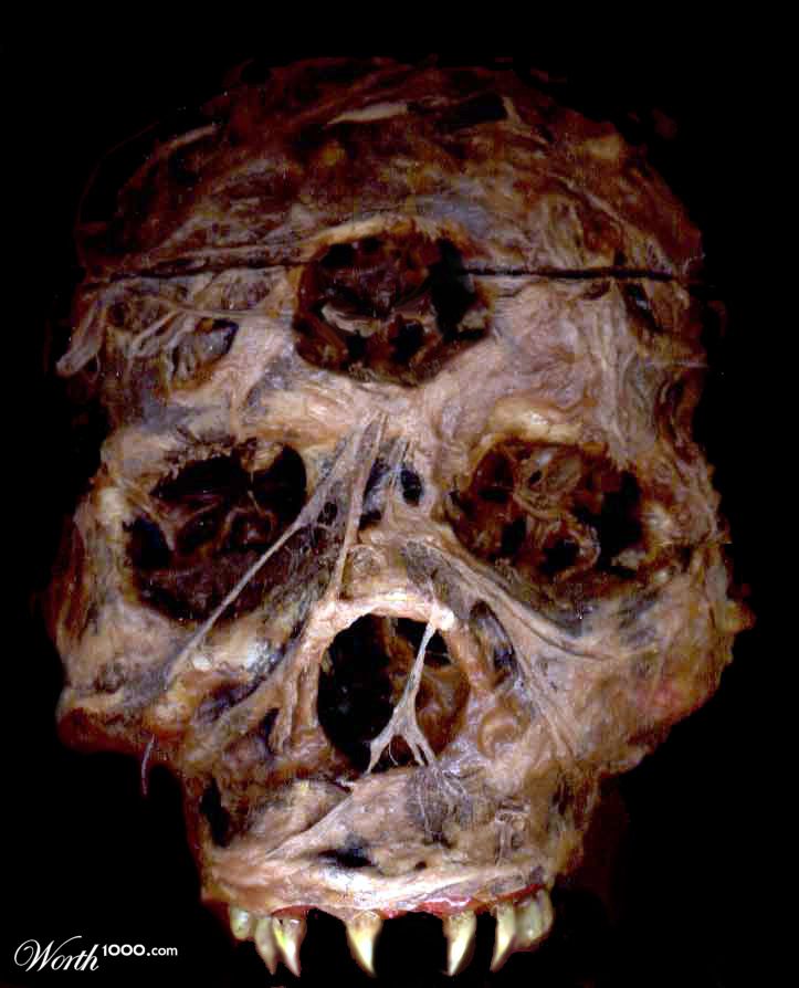 Triclops