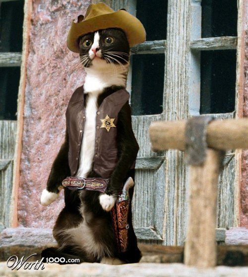 Sheriff