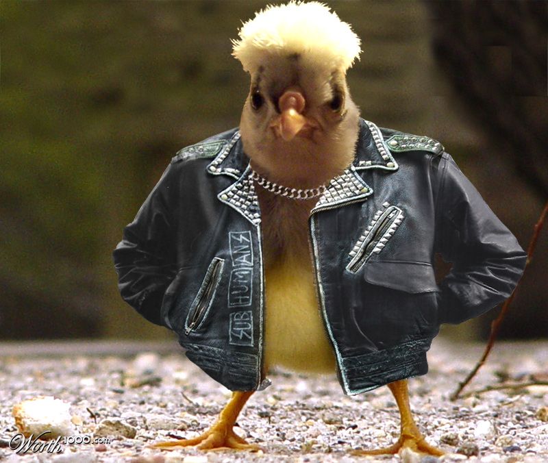 Chick