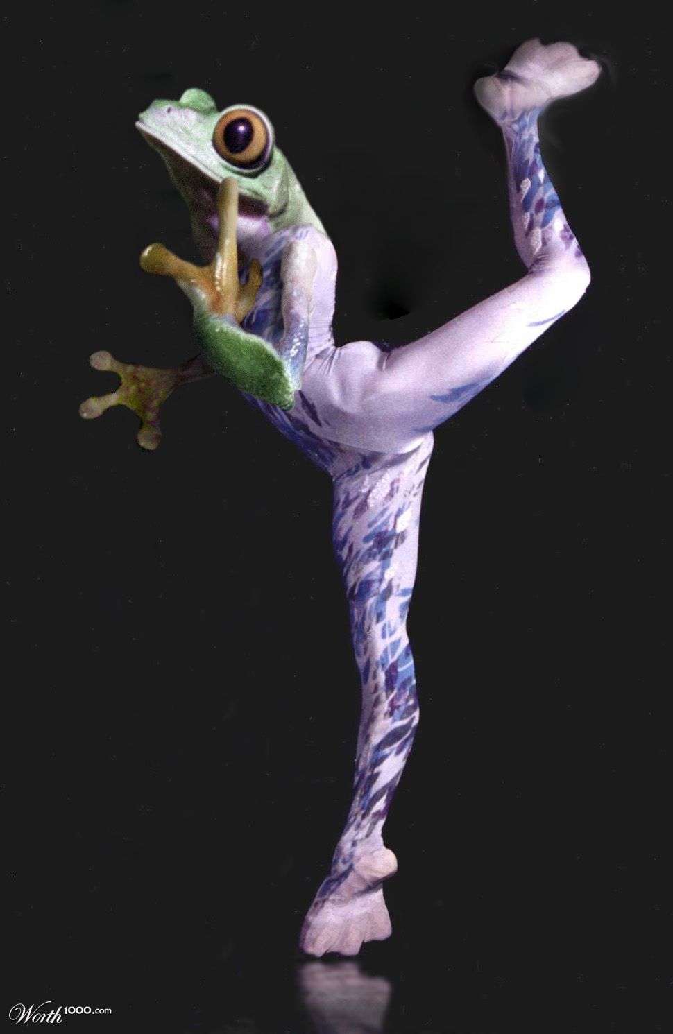 Frog Ballet