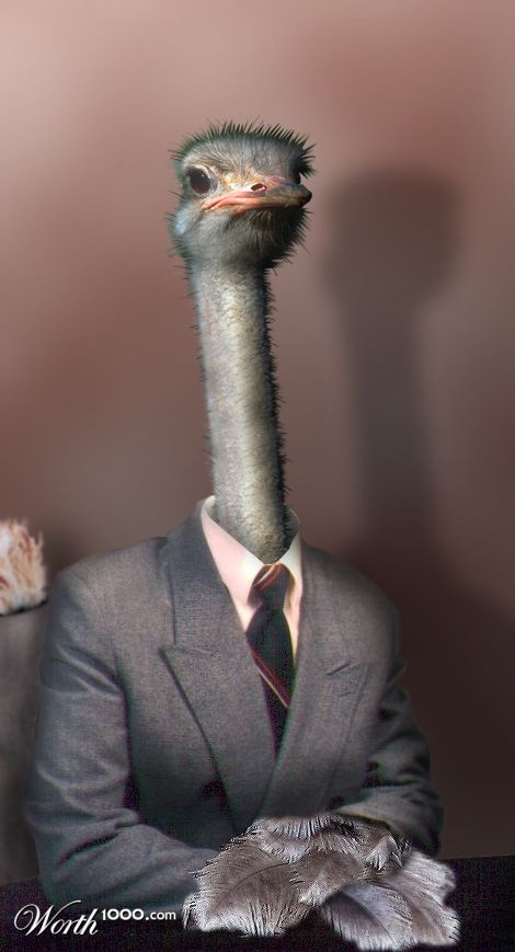 mr. Ostrich