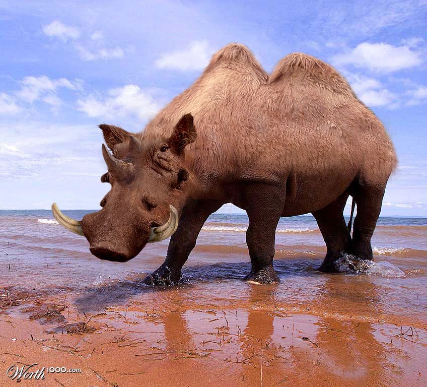 Wartameloceros