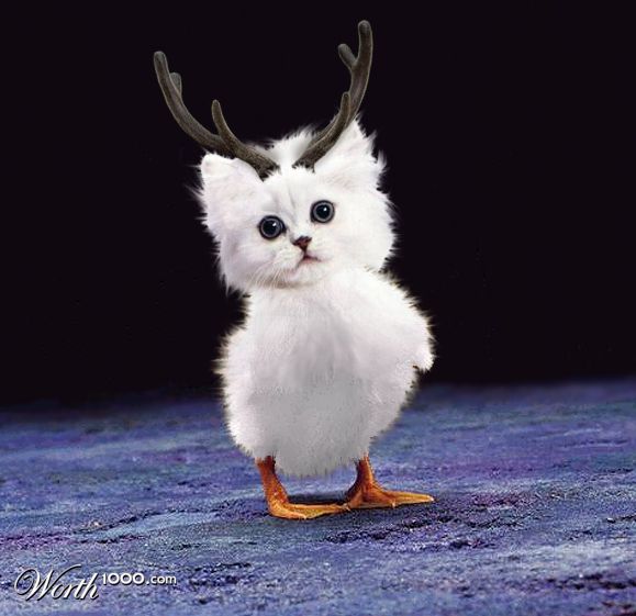 Deer and...