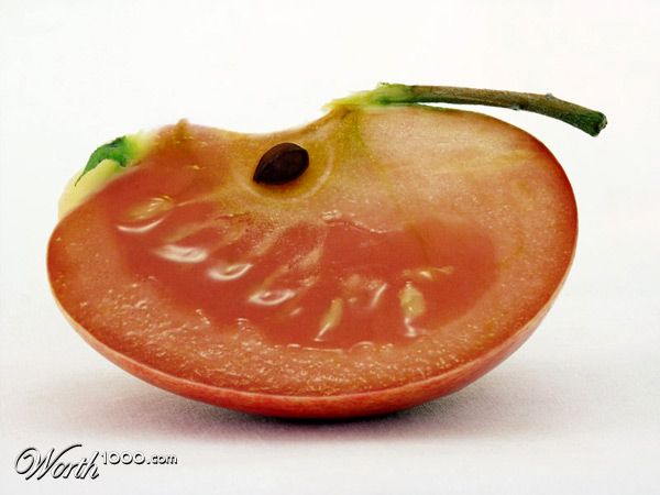 The Appmato