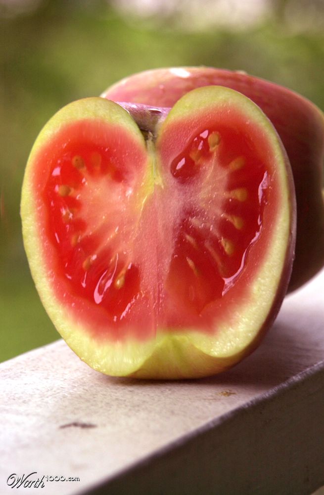 Tomapple