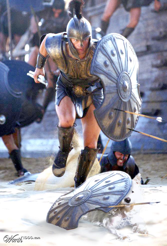 Troy-cut