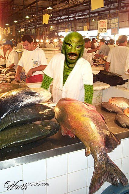 Something Fishy