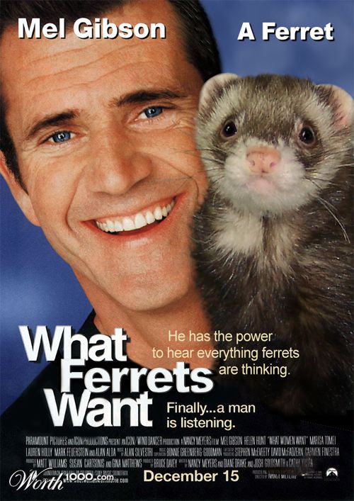 What Ferrets Want