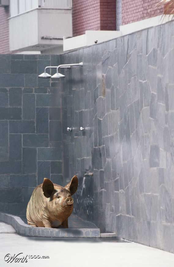 Piggy Shower
