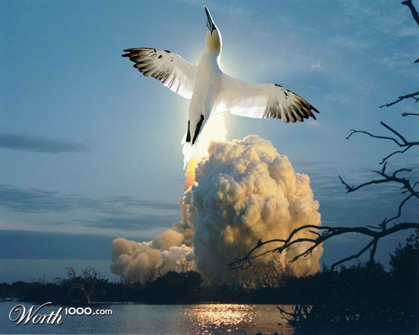 Fly me to the moon