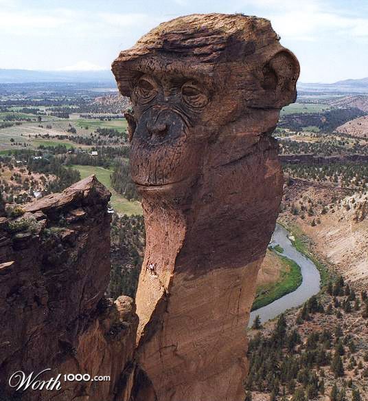 Climb the Chimp