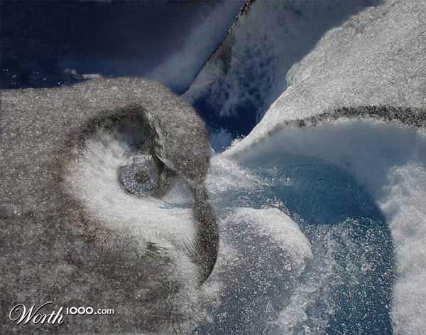 Ice Owl