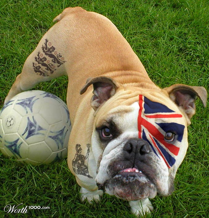 British Bulldog