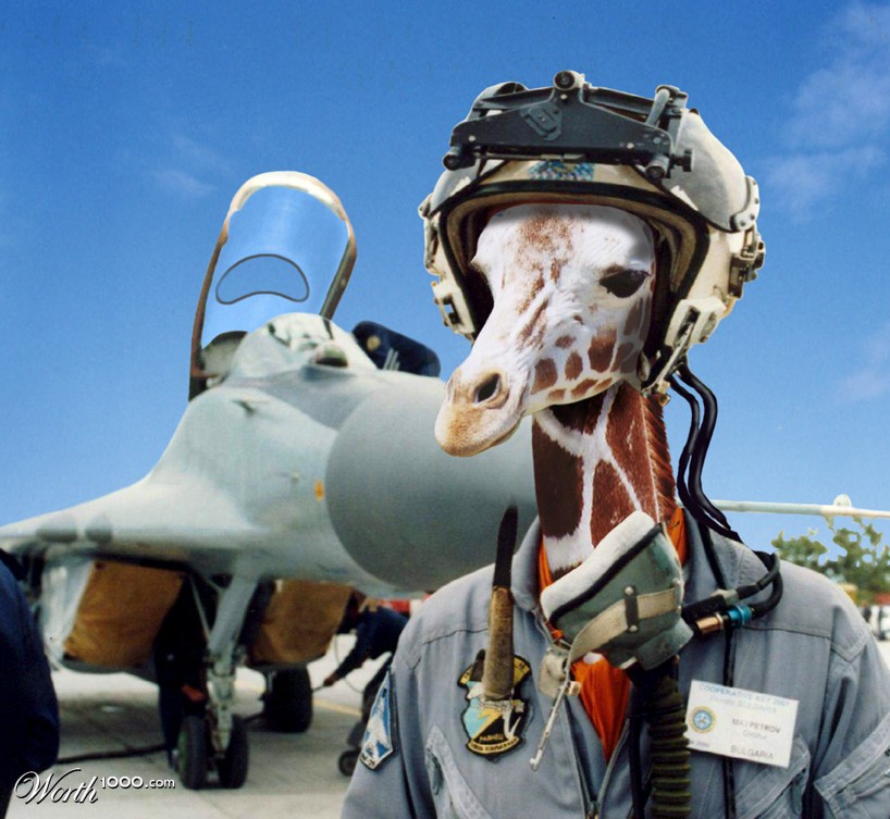 giraffighter